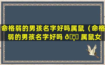 命格弱的男孩名字好吗属鼠（命格弱的男孩名字好吗 🦊 属鼠女 🐳 孩）